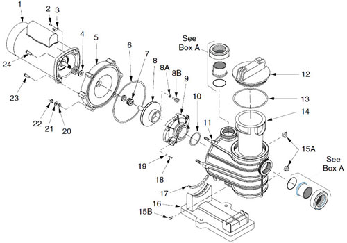 sta-rite dynaglass pump diagram