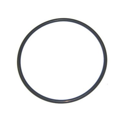 Aqua-Flo Dominator Pump Seal Plate O-Ring 92200180 O-240