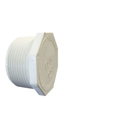 450-010 Plug 1 in. Mipt