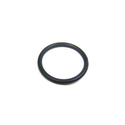 CX250Z7 Hayward Star-Clear Filter O-Ring