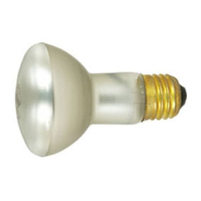 Pool and Spa Light Bulb Feit Electric S-12 100W 100R20/S-12