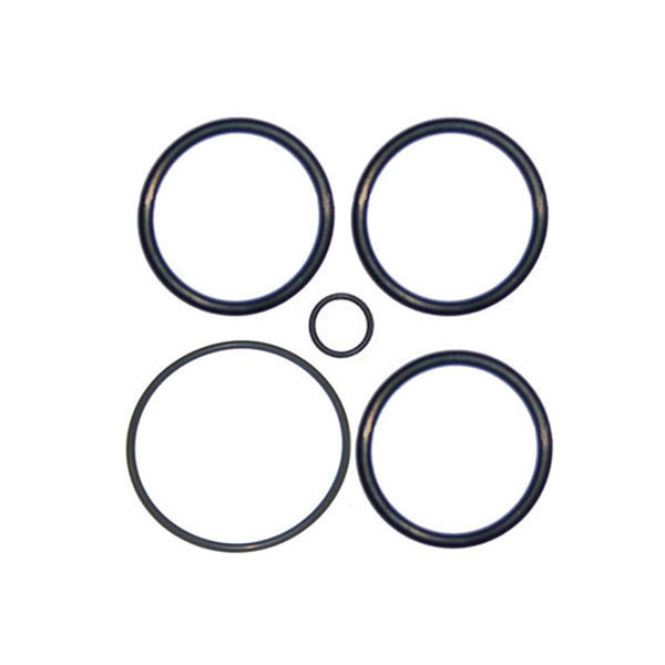 V34-141 Val-Pak 2 in. Plastic Anthony Piston O-Ring Set