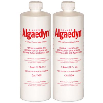 47-600 Silver Algaedyn Algae Remover Algaecide 32 oz. - 2 Pack