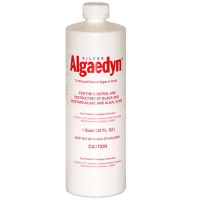 47-600 Silver Algaedyn Algae Remover Algaecide 32 oz.