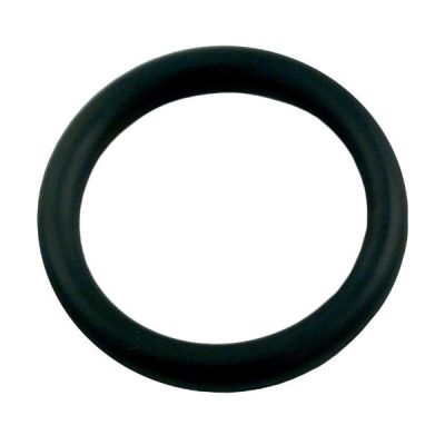 017791 Anthony Filter 1.5in Plastic Backwash Valve Stem O-Ring