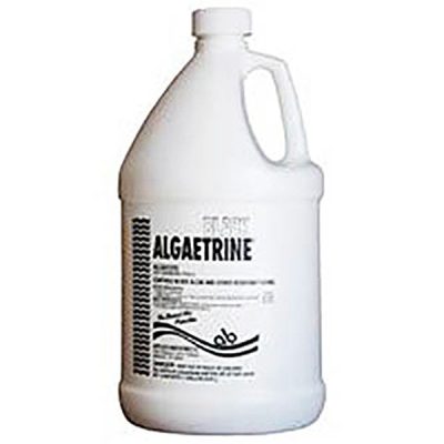 406304 Applied Biochemists Black Algaetrine Algeacide 1 Gallon
