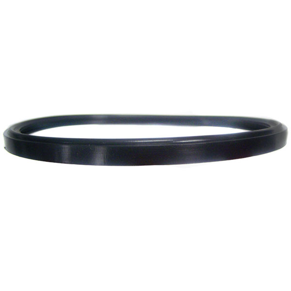 SPX0580Z2 Swimming Pool Lens Gasket AstroLite Light