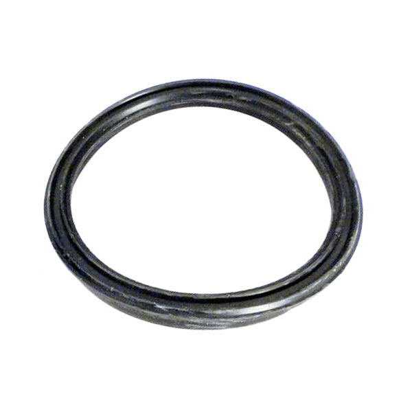 GLX-DIY-VSLGSKT Hayward Salt and Swim Vessel Gasket