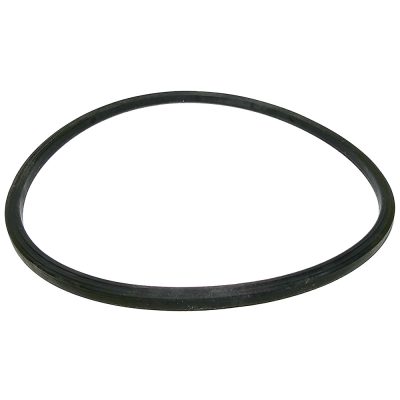 371253 Pentair 360476 Leaf Canister Lid O-ring Rubber Seal Gasket