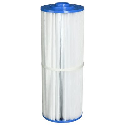 C-4321 Pentair Rainbow Leaf Canister Cartridge Filter R172653