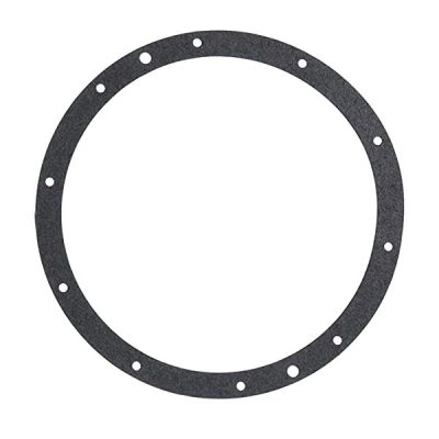 79200400 Pentair Liner Sealing Ring 10 Hole Standard One Gasket