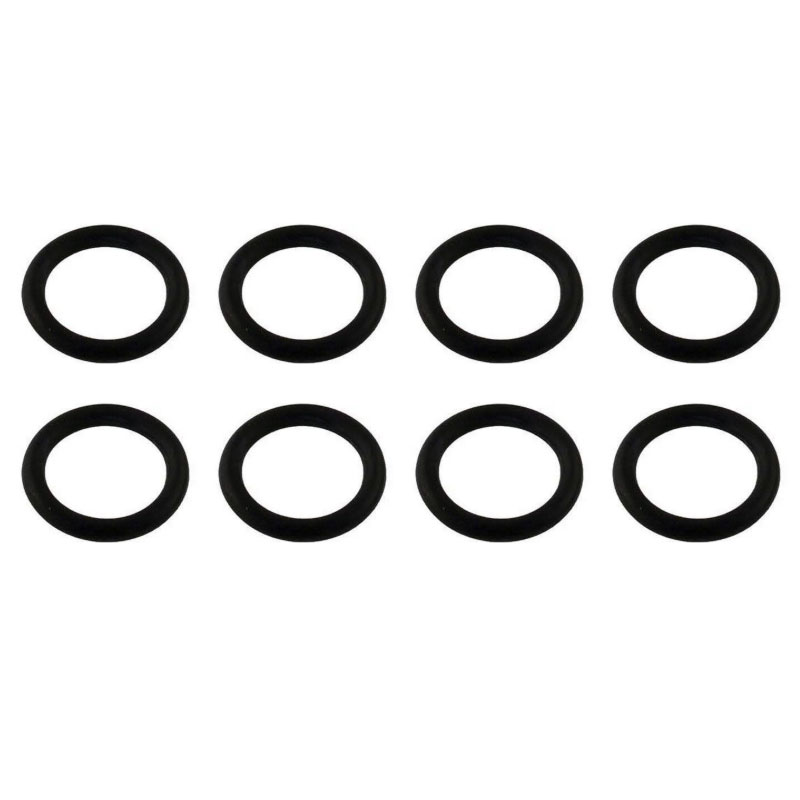 460749 Pentair MasterTemp 250 Pool Heater Coil Sealing O-Ring Kit