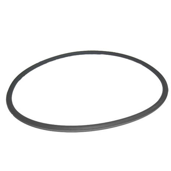 195008 Pentair Purex FNS Fiberglass Filter Tank O-Ring Triangular Gasket O-420