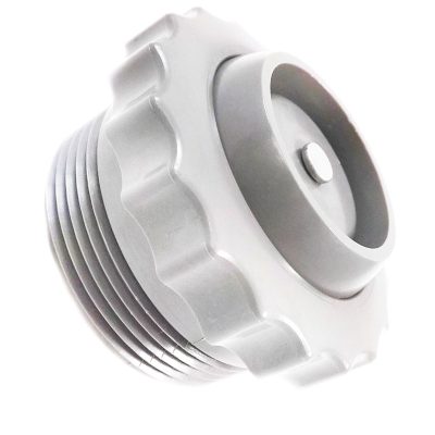 25552-500-000 Pool Spa Return Line Check Valve 1.5 inch White