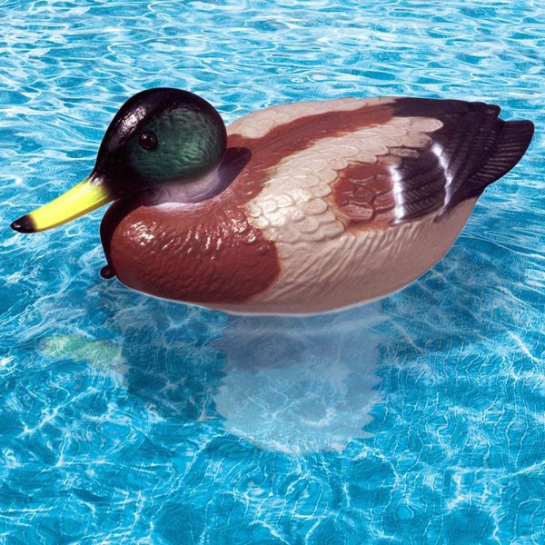 32130 PoolMaster Clori-Duck Mallard 3 in. Pool Chlorine Tablet Feeder