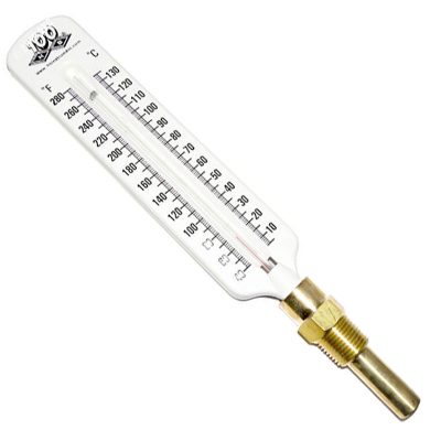 600133 Raypak 260 261 330 331 Pool Heater Brass Vertical Thermometer