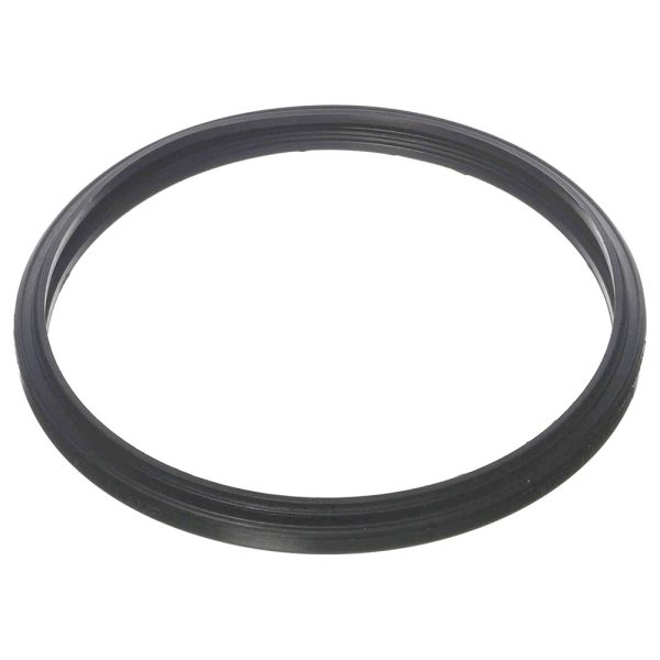 05501-0005 SunGlow Sta-Rite Light Gasket