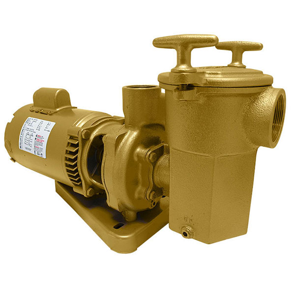 11003000 Swimming Pool Spa Aqua-Flo A-Series Brass Pump 1/3 HP