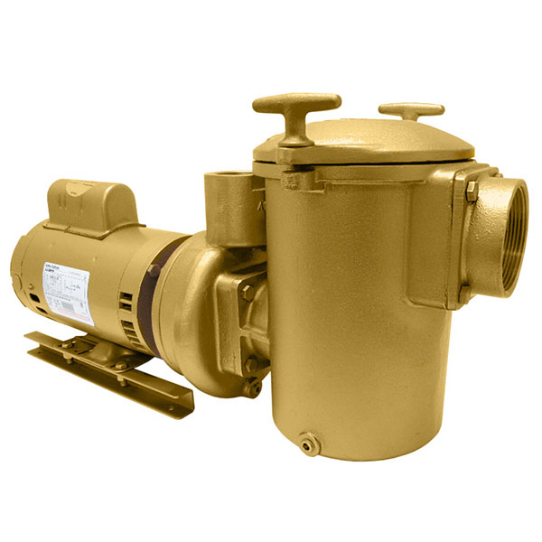 10030010 Swimming Pool Spa Aqua-Flo AC-Series Brass Pump 3 HP 1PH