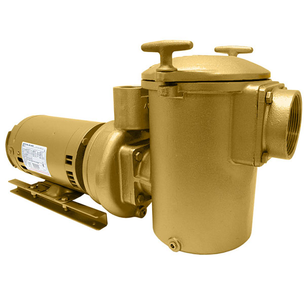 10130000 Swimming Pool Spa Aqua-Flo AC-Series Brass Pump 3 HP 3PH