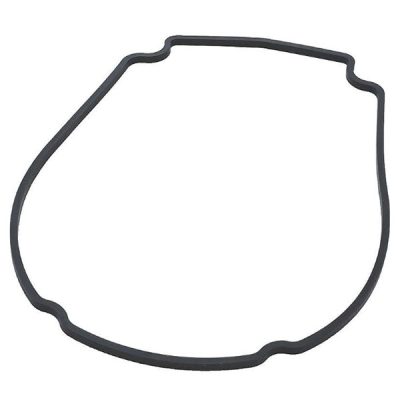 806-1400 Waterway Champion Econo-Flo Pump Faceplate Gasket 711-1400